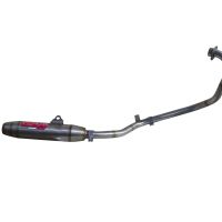 GPR auspuff kompatibel mit  Yamaha FZ 16 Byson 160  2010-2010, Deeptone Inox, Zugelassener legaler Vollanlagenauspuff mit ABE, inklusive herausnehmbarem DB-Killer 