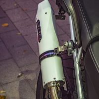 GPR auspuff kompatibel mit  Triumph Tiger 900 2020-2023, Albus Evo4, Zugelassener legaler Slip-On-Auspuff mit Abe, einschließlich abnehmbarem DB-Killer und Verbindungsrohr 