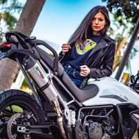 GPR auspuff kompatibel mit  Triumph Tiger 900 2020-2023, New Grand Prix Evo Titanium, Zugelassener legaler Slip-On-Auspuff mit Abe, einschließlich abnehmbarem DB-Killer und Verbindungsrohr 