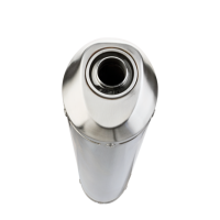 GPR auspuff kompatibel mit  Triumph Tiger 900 GT / Pro / Rally Pro 2024-2025, Satinox , Zugelassener legaler Slip-On-Auspuff mit Abe, einschließlich abnehmbarem DB-Killer und Verbindungsrohr 