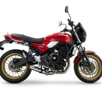 GPR auspuff kompatibel mit  Kawasaki Z 650 RS 2024-2025, Deeptone Inox, Kompletter Rennauspuff, geliefert mit spezifischem Krümmer, Artikel ohne Homologation 
